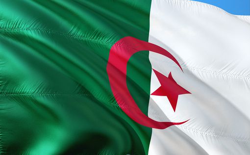 Алжир: "иностранные маневры" дестабилизируют страну