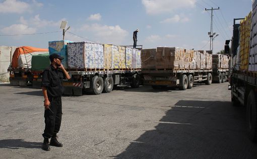 Египет доставил в Газу 2500 тонн гуманитарного груза