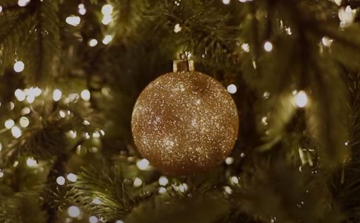 В Дании создали самую тонкую в мире новогоднюю ёлку