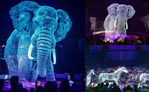 В немецком цирке зверей заменили 3D-изображениями