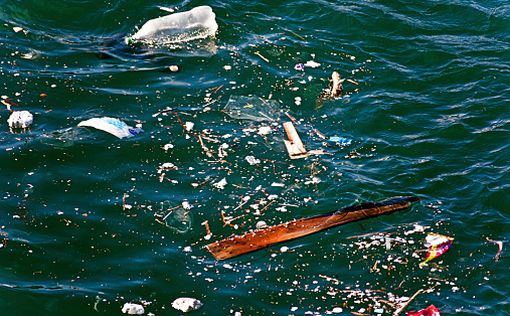 В Мировой океан ежегодно попадает 8 млн тонн пластика
