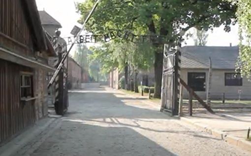 В Освенциме арестовали голландскую туристку