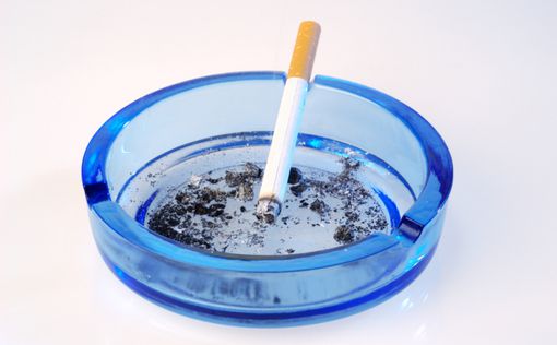 Названы четыре продукта для восстановления легких курильщика