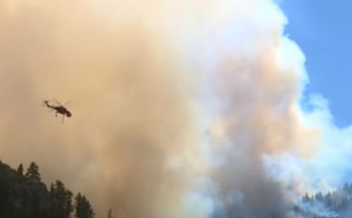 Масштабные лесные пожары в США: полыхают 12 штатов