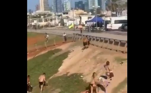 Видео: купающиеся бегут от полиции на пляже в Тель-Авиве
