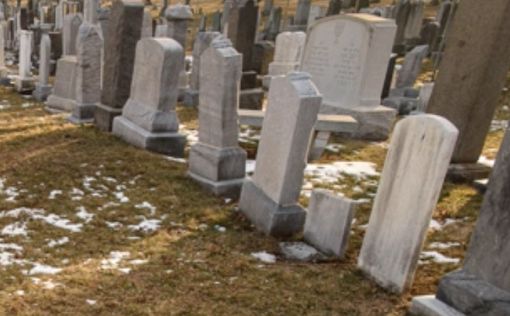 В могилу на еврейском кладбище подкинули мертвых куриц