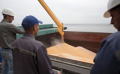 Украина отправила в Эфиопию 30 тысяч тонн пшеницы