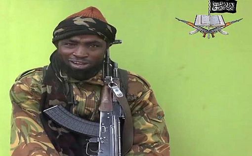 Нигерия призывает ООН включить "Боко Харам"в чёрный список