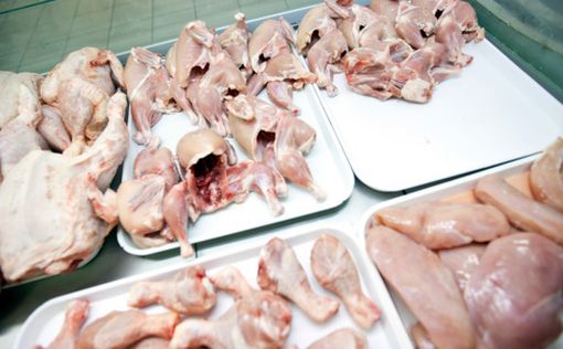 В супермаркетах Израиля ожидается нехватка куриного мяса
