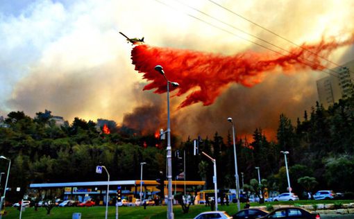Европа направила в Израиль пожарные самолеты