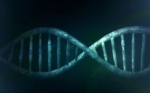 Американские ученые создали искусственную молекулу ДНК