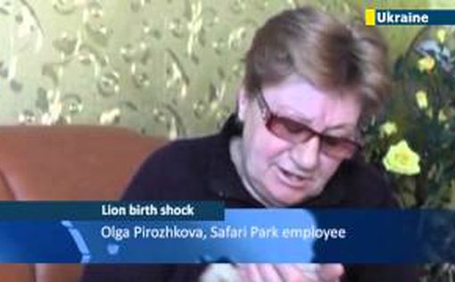 В Крыму показали необычных серых львят
