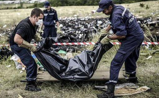 Опознаны останки 173 пассажиров сбитого рейса MH17