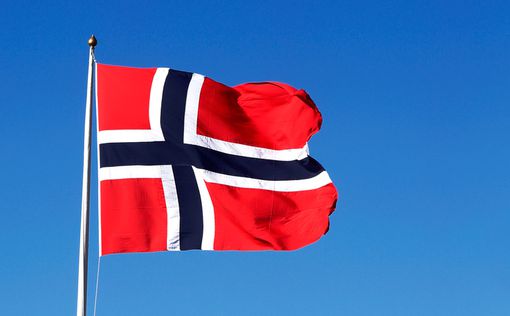 Норвегия планирует отправить войска в Сирию