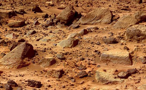 На Марсе 50 лет назад была жизнь, но NASA случайно убило ее, утверждает ученый