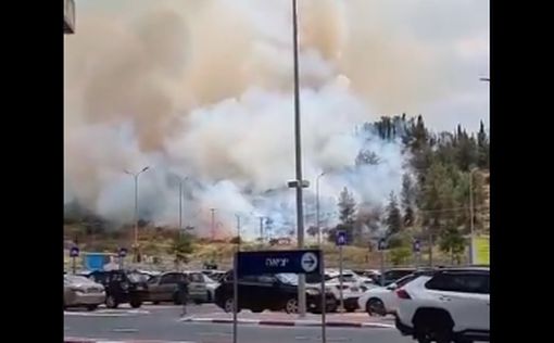 Пожар возле Бейт-Шемеша  взят под контроль