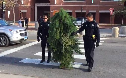 В США арестован человек-дерево