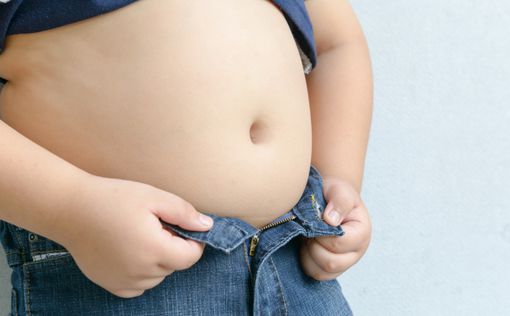 Разноообразный рацион - причина ожирения