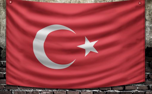 Турецкого журналиста выслали из страны за критику Эрдогана
