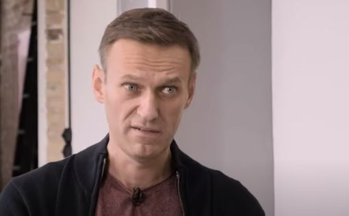 Дело Навального: МВД допросило 230 человек