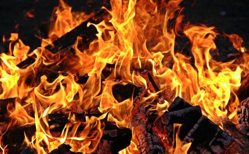 Книги Хаима Вальдера сожгли недалеко от его могилы