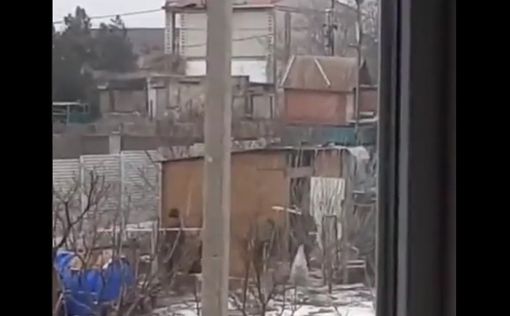 Российские солдаты воруют кур