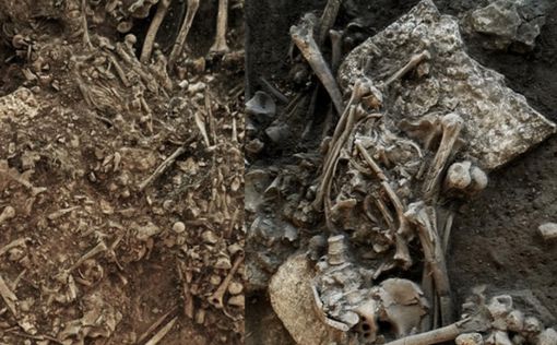 В 5000-летней могиле в Швеции обнаружили древний штамм чумы