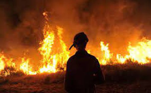 Возле поселения Мицпе-Хагит полыхает пожар: привлечена авиация