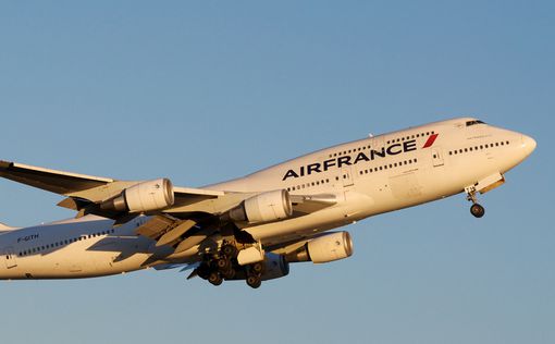 Мышь задержала вылет рейса Air France на двое суток