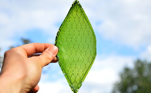 В Великобритании изобрели искусственный древесный лист