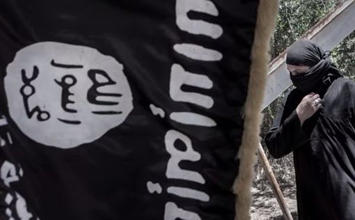 Гражданку США обвинили в пособничестве ISIS