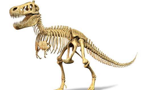 В Аргентине нашли кости гигантского динозавра