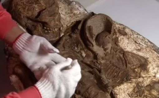 Найдены 5000-летние останки матери с дитем
