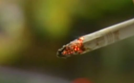 Борьба с курением на Гавайях: нет 100 - курить нельзя