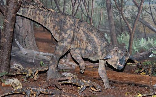 Новое исследование показало, что у динозавров были "пупки"