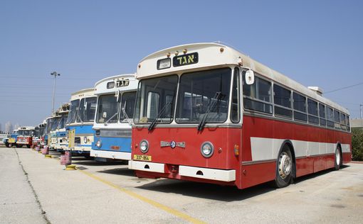 Автобусный музей "Эгед" приглашает на Суккот!
