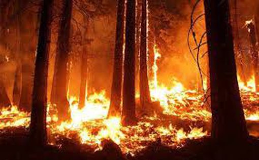 Шоссе 87 перекрыто из-за лесного пожара