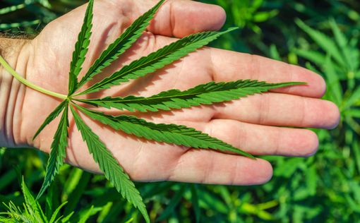 Что такое легализовать марихуану тор браузер все версии hidra