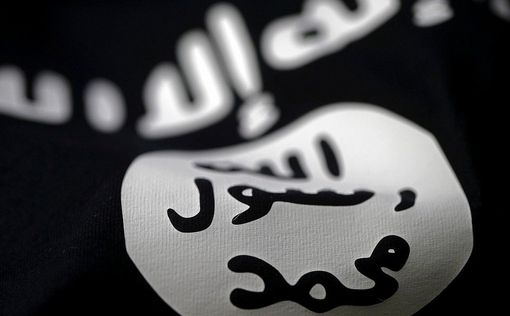 Два жителя Дании были пойманы на продаже беспилотников в ИГ