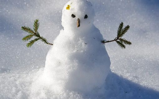 В Польше произошел скандал из-за "слишком большого снеговика"