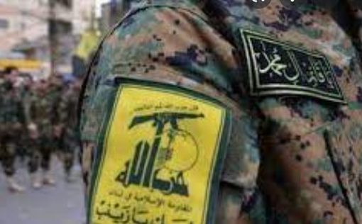 Бойцы "Хезболлы" не воюют в Украине