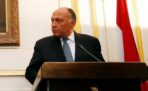 Египет: Вмешательство России поможет искоренить терроризм