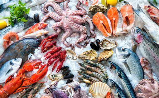 Ученые: морепродукты продлевают жизнь